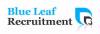 Blue Leaf Recruitment logo